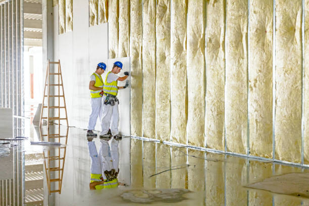 Eco-Friendly or Green Insulation Solutions in Stockdale, TX